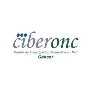 >CIBERONC :: Centro de Investigación Biomédica en Red Cáncer